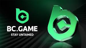 Discover the Exciting Features of the Mobile App BC.Game 1