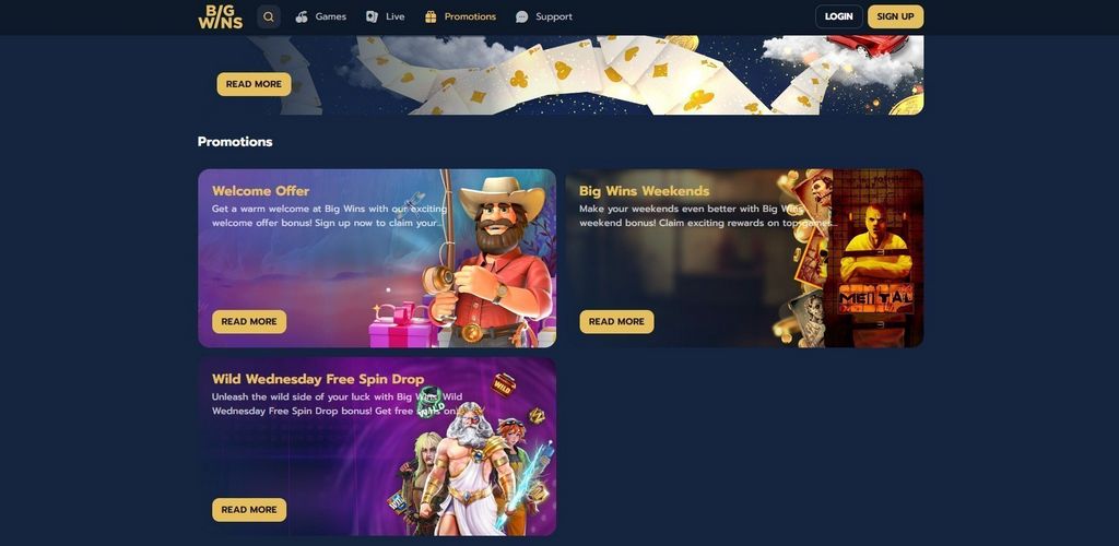 Big Wins Gambling Enterprise Review: Software Application