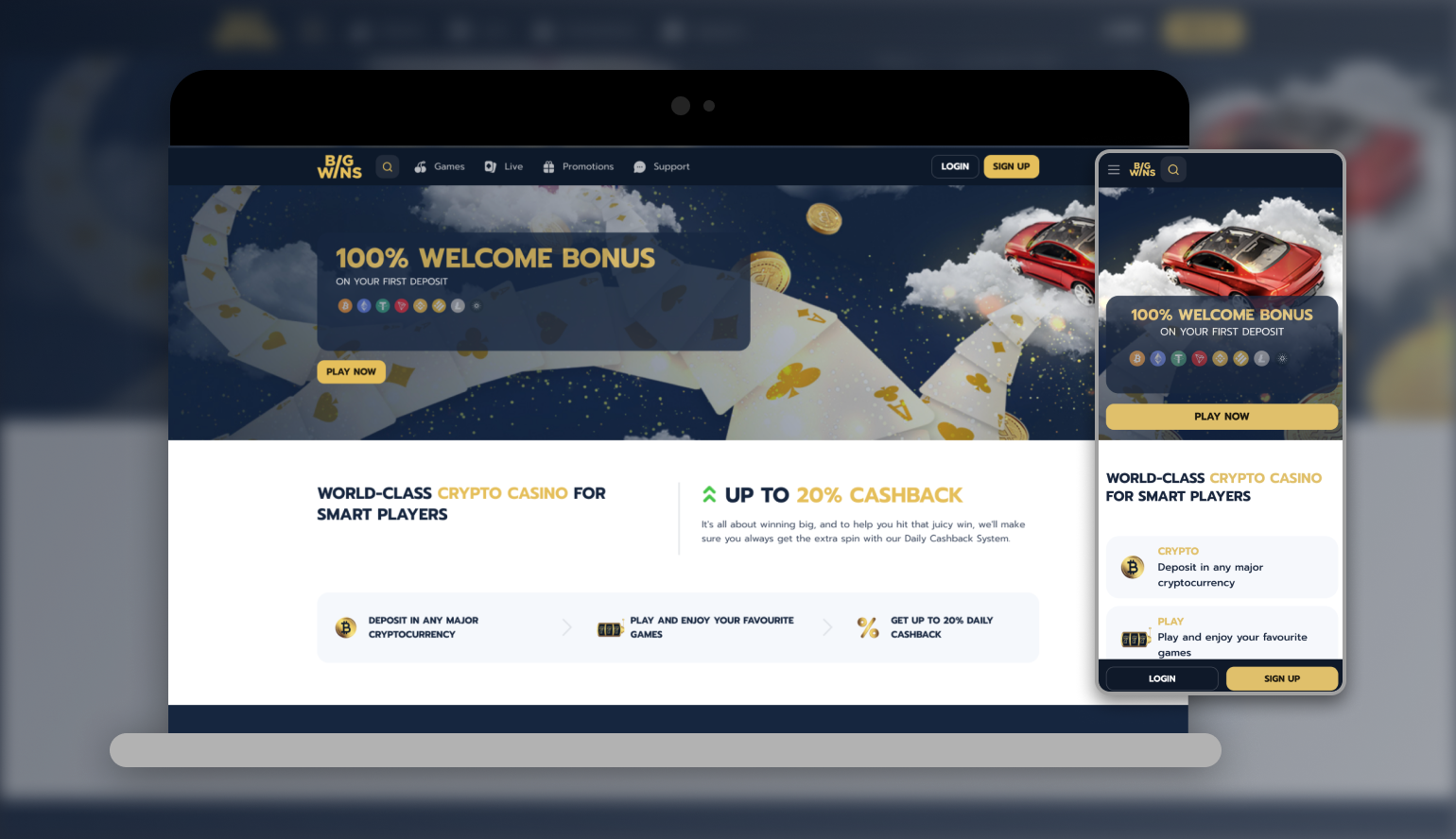 BigWins Gambling establishment review